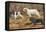 Spaniels (Puertes)-Louis Agassiz Fuertes-Framed Stretched Canvas