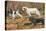 Spaniels (Puertes)-Louis Agassiz Fuertes-Stretched Canvas