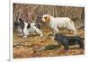 Spaniels (Puertes)-Louis Agassiz Fuertes-Framed Art Print