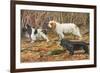 Spaniels (Puertes)-Louis Agassiz Fuertes-Framed Art Print