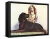 Spaniels-null-Framed Stretched Canvas
