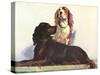 Spaniels-null-Stretched Canvas