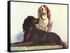 Spaniels-null-Framed Stretched Canvas