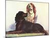 Spaniels-null-Mounted Art Print