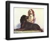 Spaniels-null-Framed Art Print