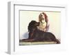 Spaniels-null-Framed Art Print