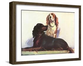 Spaniels-null-Framed Art Print