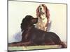 Spaniels-null-Mounted Art Print