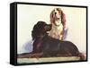 Spaniels-null-Framed Stretched Canvas