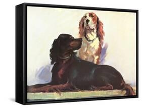 Spaniels-null-Framed Stretched Canvas