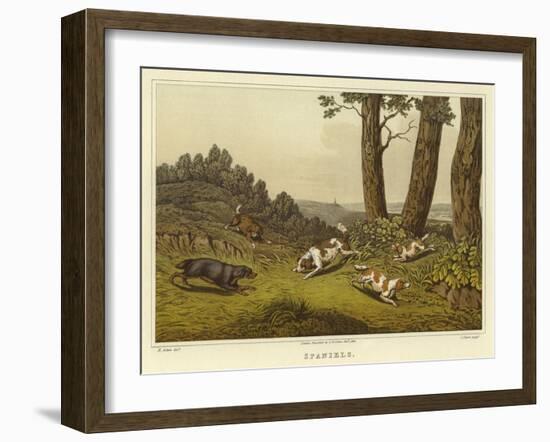 Spaniels-Henry Thomas Alken-Framed Giclee Print