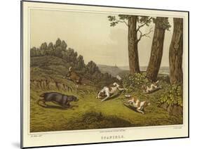 Spaniels-Henry Thomas Alken-Mounted Giclee Print