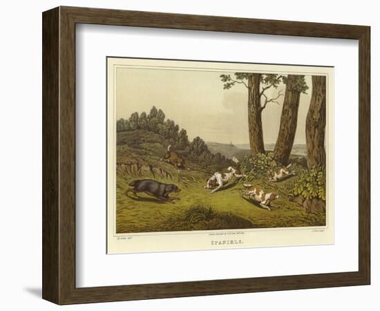 Spaniels-Henry Thomas Alken-Framed Giclee Print