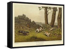 Spaniels-Henry Thomas Alken-Framed Stretched Canvas