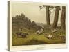 Spaniels-Henry Thomas Alken-Stretched Canvas