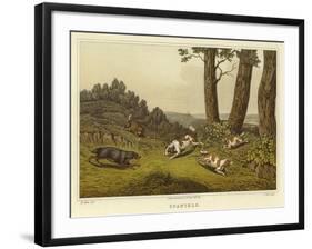 Spaniels-Henry Thomas Alken-Framed Giclee Print