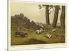 Spaniels-Henry Thomas Alken-Stretched Canvas