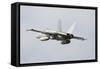 Spanish Air Force Ef-18M Hornet Taking Off-Stocktrek Images-Framed Stretched Canvas