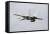 Spanish Air Force Ef-18M Hornet Taking Off-Stocktrek Images-Framed Stretched Canvas