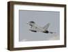 Spanish Air Force Ef-2000 Typhoon in Flight-Stocktrek Images-Framed Photographic Print