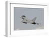 Spanish Air Force Ef-2000 Typhoon in Flight-Stocktrek Images-Framed Photographic Print