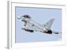 Spanish Air Force Ef-2000 Typhoon in Flight-Stocktrek Images-Framed Photographic Print