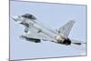 Spanish Air Force Ef-2000 Typhoon in Flight-Stocktrek Images-Mounted Photographic Print