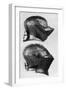 Spanish and Italian Helmets, 15th Century-null-Framed Giclee Print