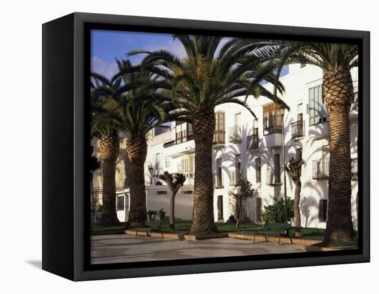 Spanish Architecture and Palm Trees, Tarifa, Andalucia, Spain-D H Webster-Framed Stretched Canvas