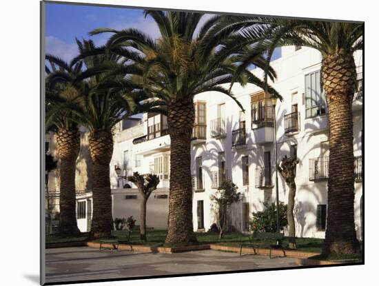 Spanish Architecture and Palm Trees, Tarifa, Andalucia, Spain-D H Webster-Mounted Photographic Print
