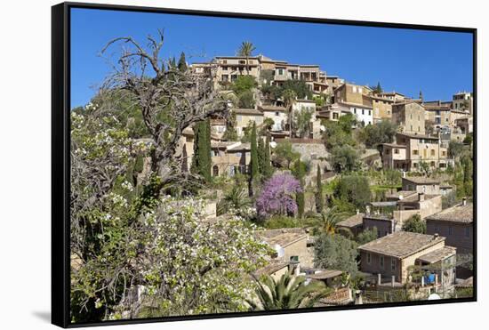 Spanish Balearic Islands, Island Majorca, Local Overview Dei—-Chris Seba-Framed Stretched Canvas