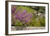 Spanish Balearic Islands, Island Majorca, Mountains Serra De Tramuntana, Village Dei—, Lemon Tree-Chris Seba-Framed Photographic Print