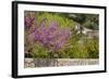 Spanish Balearic Islands, Island Majorca, Mountains Serra De Tramuntana, Village Dei—, Lemon Tree-Chris Seba-Framed Photographic Print