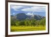 Spanish Balearic Islands, Island Majorca, Olive Grove Infront of the Mountains of the Tramuntana-Chris Seba-Framed Photographic Print