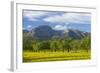 Spanish Balearic Islands, Island Majorca, Olive Grove Infront of the Mountains of the Tramuntana-Chris Seba-Framed Photographic Print