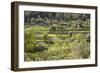 Spanish Balearic Islands, Island Majorca, Serra De Tramuntana, Terrace Fields, Donkeys-Chris Seba-Framed Photographic Print