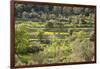 Spanish Balearic Islands, Island Majorca, Serra De Tramuntana, Terrace Fields, Donkeys-Chris Seba-Framed Photographic Print