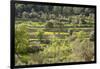 Spanish Balearic Islands, Island Majorca, Serra De Tramuntana, Terrace Fields, Donkeys-Chris Seba-Framed Photographic Print