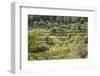 Spanish Balearic Islands, Island Majorca, Serra De Tramuntana, Terrace Fields, Donkeys-Chris Seba-Framed Photographic Print