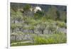 Spanish Balearic Islands, Island Majorca, Serra De Tramuntana-Chris Seba-Framed Photographic Print