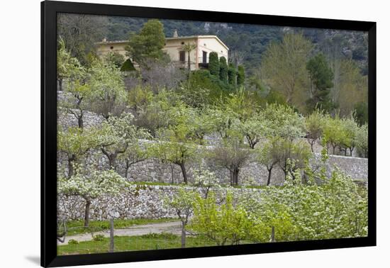 Spanish Balearic Islands, Island Majorca, Serra De Tramuntana-Chris Seba-Framed Photographic Print