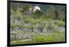 Spanish Balearic Islands, Island Majorca, Serra De Tramuntana-Chris Seba-Framed Photographic Print