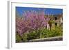 Spanish Balearic Islands, Island Majorca, Village Dei—, Cherry Blossoms, Lemon Tree-Chris Seba-Framed Photographic Print