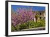 Spanish Balearic Islands, Island Majorca, Village Dei—, Cherry Blossoms, Lemon Tree-Chris Seba-Framed Photographic Print