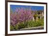 Spanish Balearic Islands, Island Majorca, Village Dei—, Cherry Blossoms, Lemon Tree-Chris Seba-Framed Photographic Print