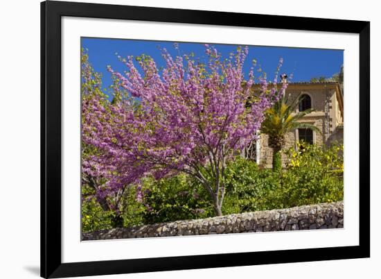 Spanish Balearic Islands, Island Majorca, Village Dei—, Cherry Blossoms, Lemon Tree-Chris Seba-Framed Photographic Print