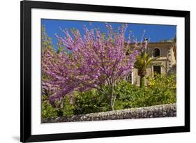 Spanish Balearic Islands, Island Majorca, Village Dei—, Cherry Blossoms, Lemon Tree-Chris Seba-Framed Photographic Print