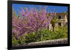 Spanish Balearic Islands, Island Majorca, Village Dei—, Cherry Blossoms, Lemon Tree-Chris Seba-Framed Photographic Print