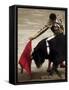 Spanish Bullfighter Camargue France-null-Framed Stretched Canvas