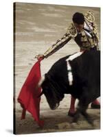 Spanish Bullfighter Camargue France-null-Stretched Canvas